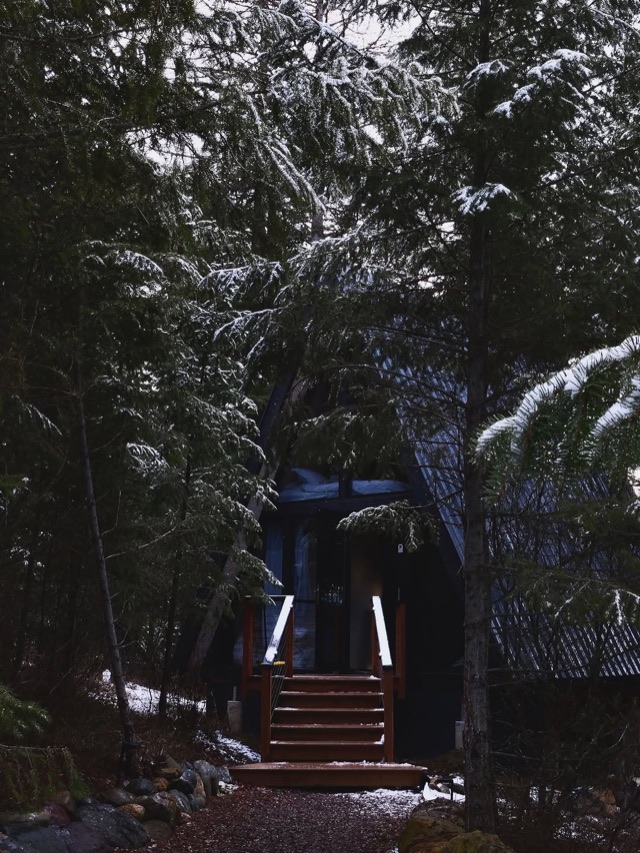 A dark A-frame cabin tucked into snow-dusted pines
